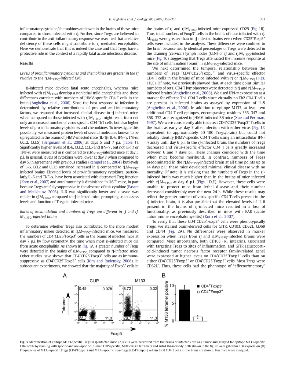 2009 Role of regulatory T cells in coronavirus-induced acute encephalitis_第4页