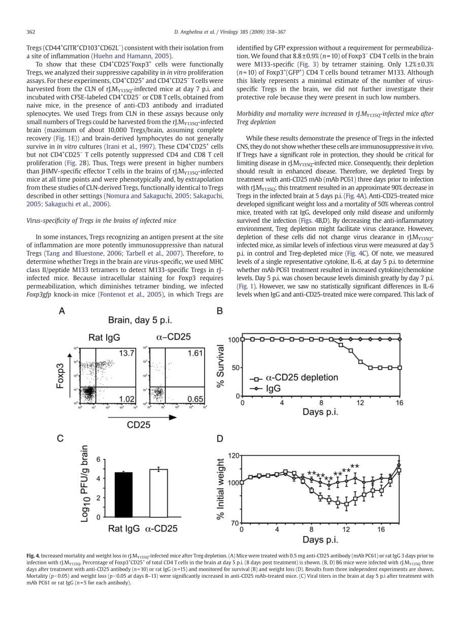 2009 Role of regulatory T cells in coronavirus-induced acute encephalitis_第5页