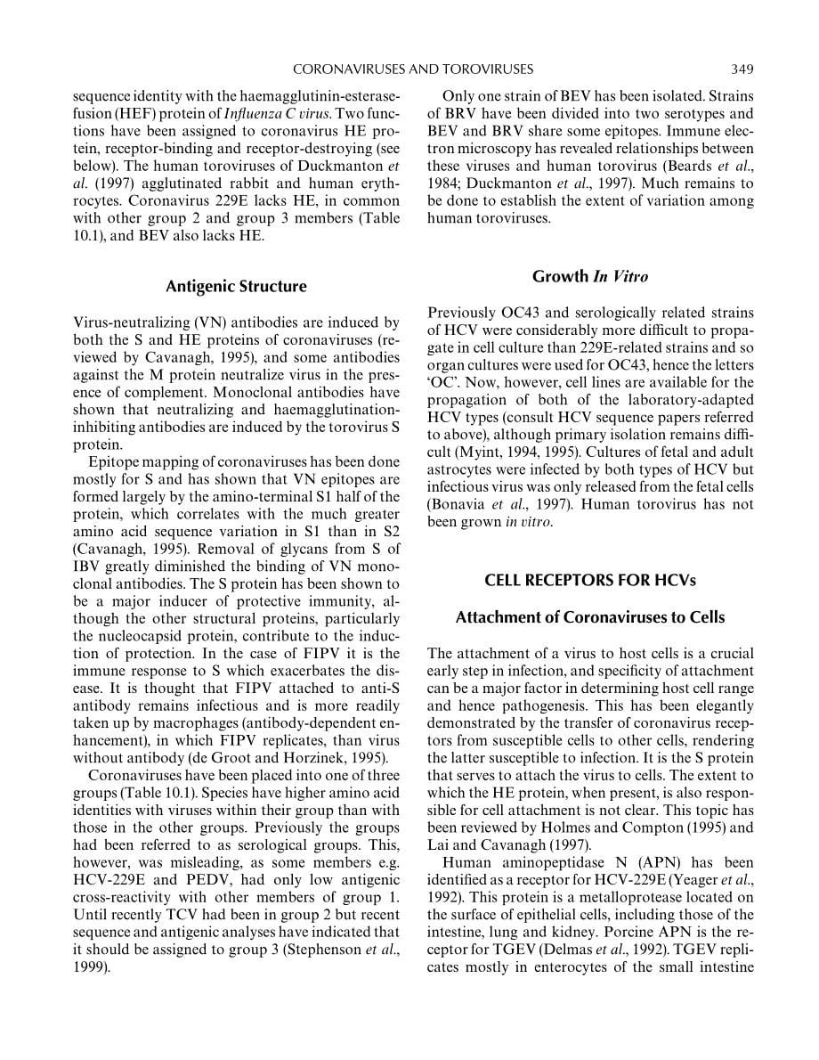 1999 Principles and Practice of Clinical Virology __ Coronaviruses and Toroviruses_第5页