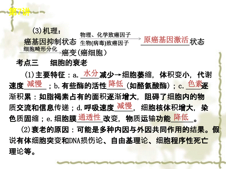 2012年高考生物专题复习 第7讲 细胞的分化、癌变和衰老课件 大纲人教版_第4页