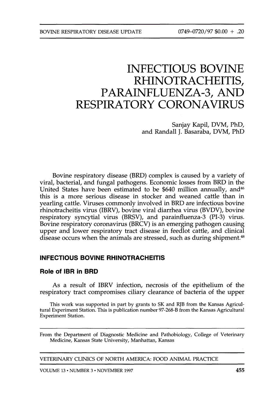 1997 Infectious Bovine Rhinotracheitis, Parainfluenza-3, and Respiratory Coronavirus_第1页