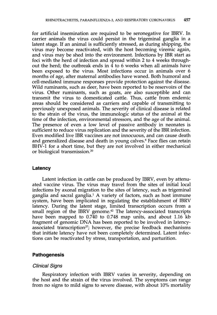 1997 Infectious Bovine Rhinotracheitis, Parainfluenza-3, and Respiratory Coronavirus_第3页