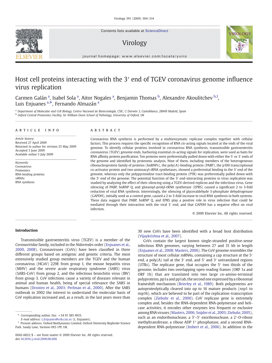 2009 Host cell proteins interacting with the 3_ end of TGEV coronavirus genome influence virus replication_第1页