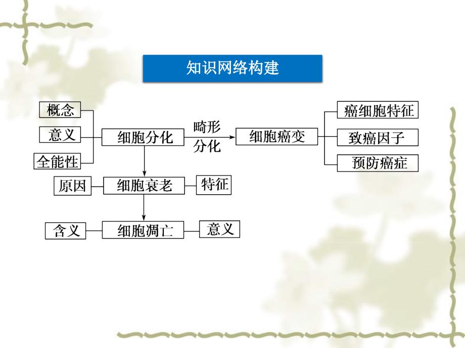 2012高考生物二轮复习 第一部分 专题三第2讲细胞的分化 衰老凋亡和癌变课件_第2页