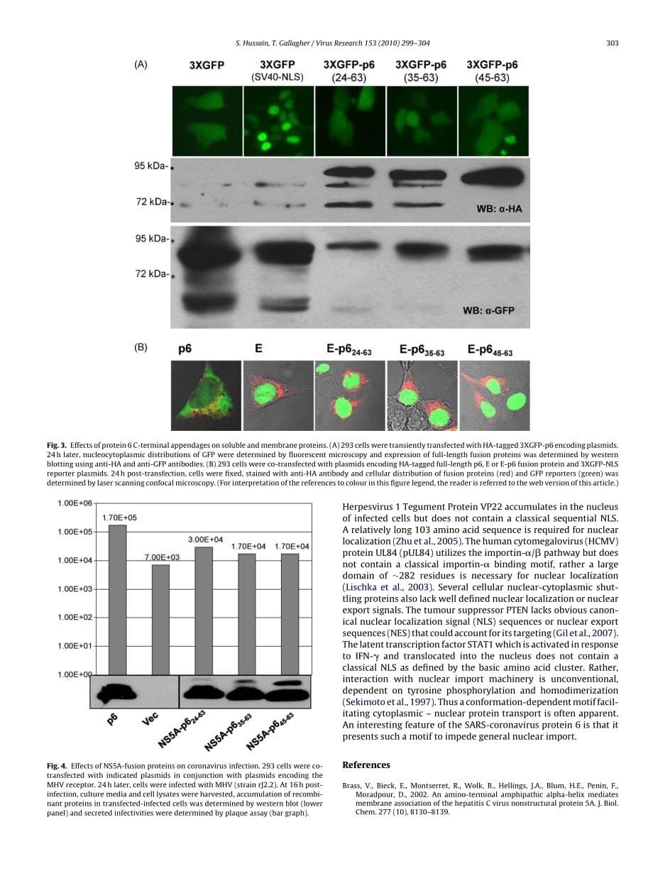 2010 SARS-coronavirus protein 6 conformations required to impede protein import into the nucleus_第5页