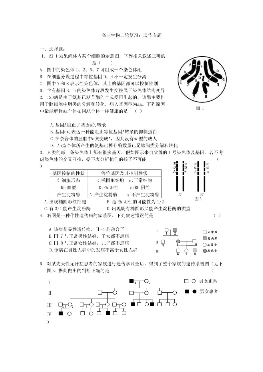 高三生物二轮作业：遗传专题_第1页