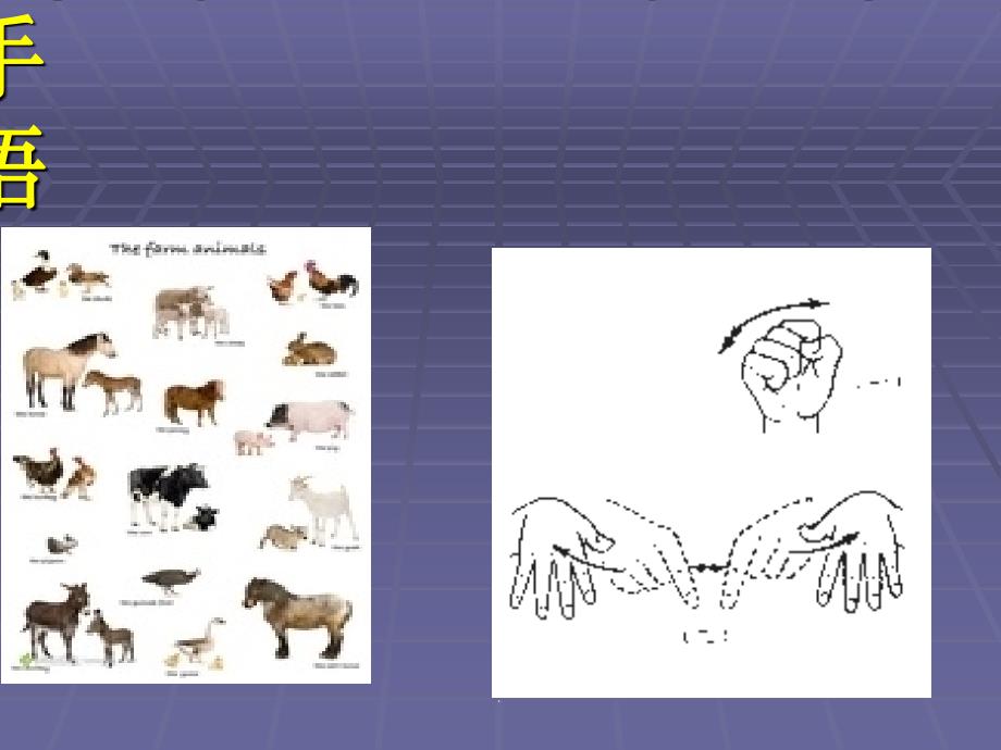 常见动物手语教学ppt课件_第1页