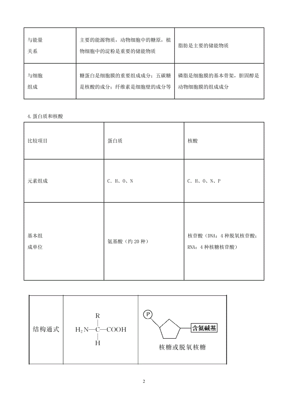 高三生物作业学案：专题1 细胞的分子组成与结构_第2页