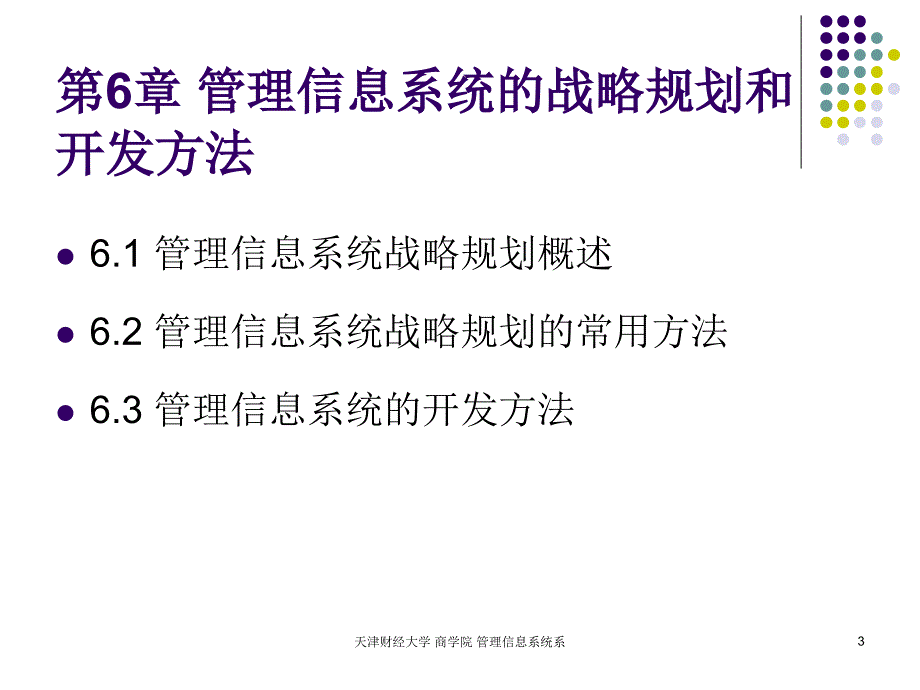 管理信息系统ERP6MIS战略规划和开发方法精编版_第3页