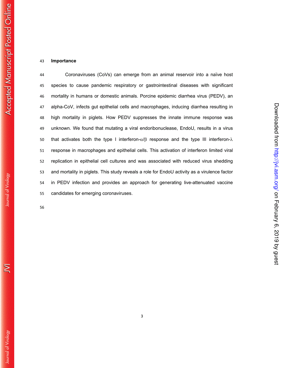 2019 Coronavirus endoribonuclease activity in porcine epidemic diarrhea virus suppresses type I and type III interferon_第3页