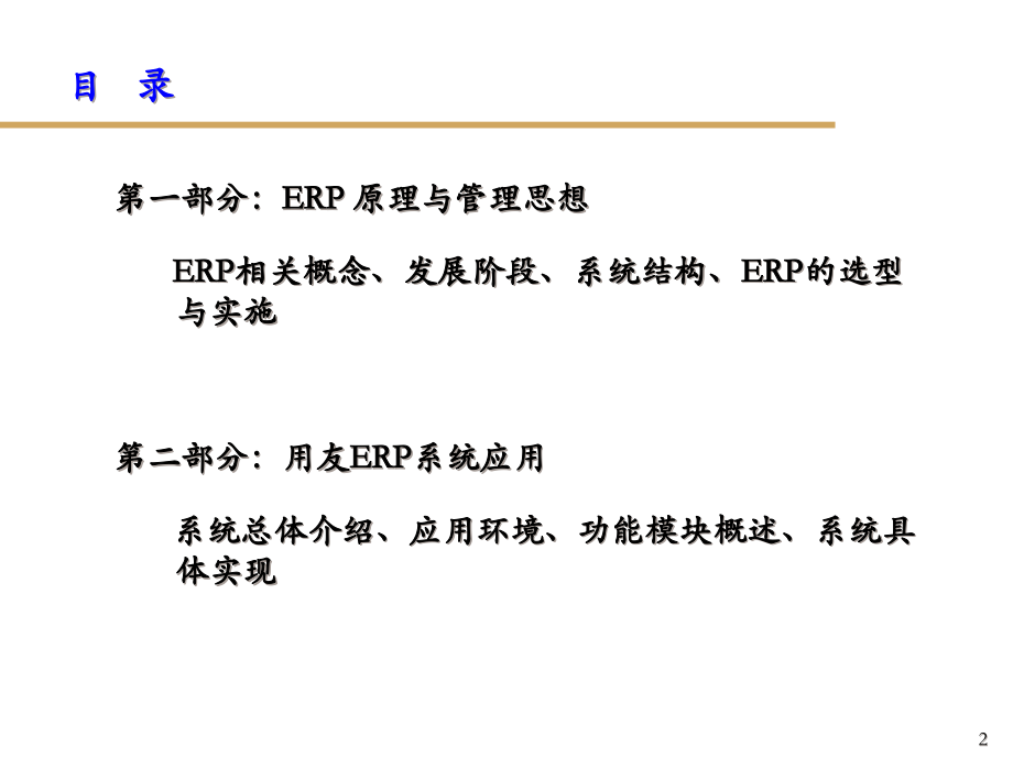 ERP原理概论精编版_第2页