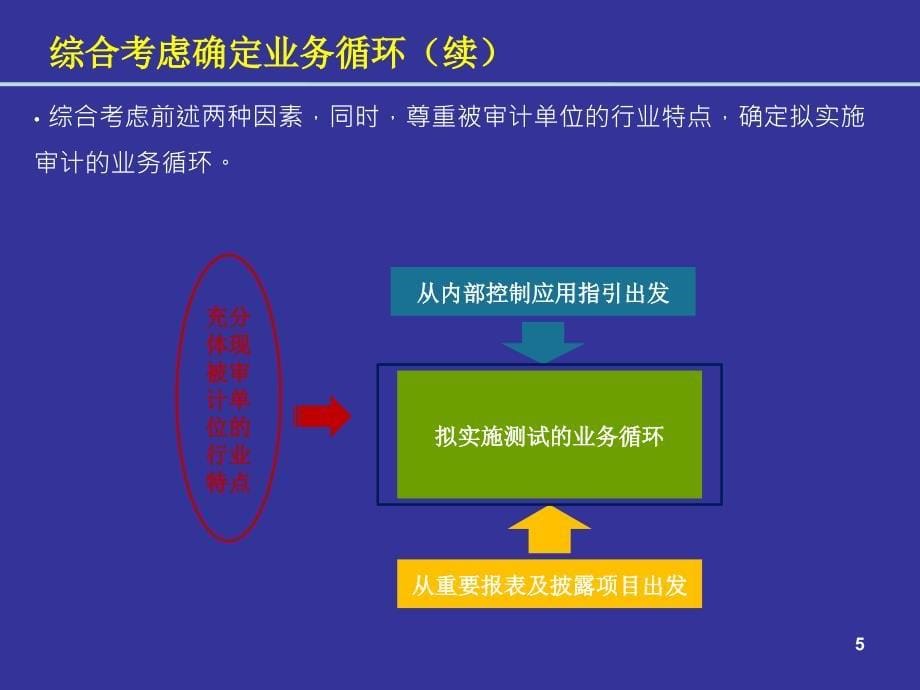 业务流程层面控制测试的实务操作精编版_第5页