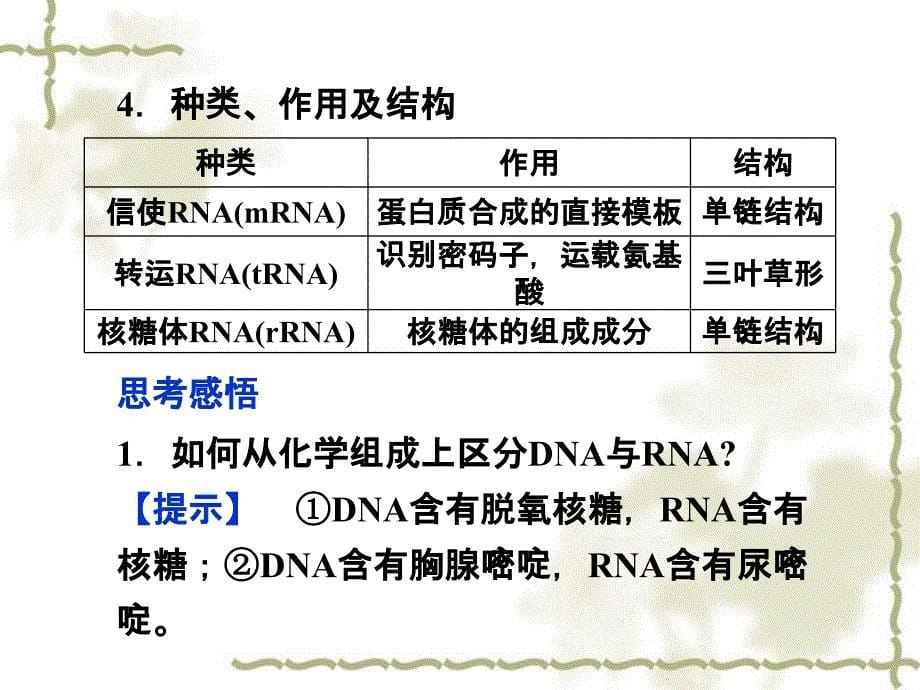 【优化方案】2012高中生物 第4章第1节基因指导蛋白质的合成课件 新人教版必修2_第5页