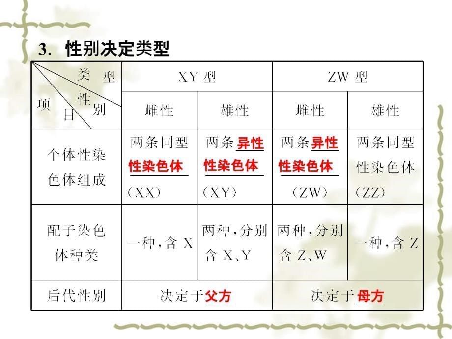 【优化方案】2012高考生物总复习 第6章第6讲性别决定和伴性遗传课件 大纲人教版_第5页