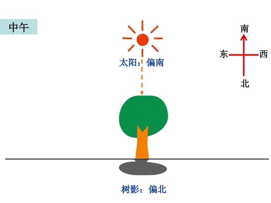 小学科学教科版五年级上册2-2《阳光下的影子》课件PPT_第5页