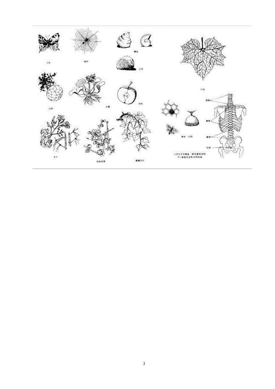 专题-外部空间组合论[1].ppt.Convertor（2020年7月整理）.pdf_第3页