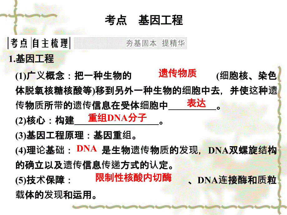 2019版高考生物一轮复习 第32讲 基因工程课件_第4页