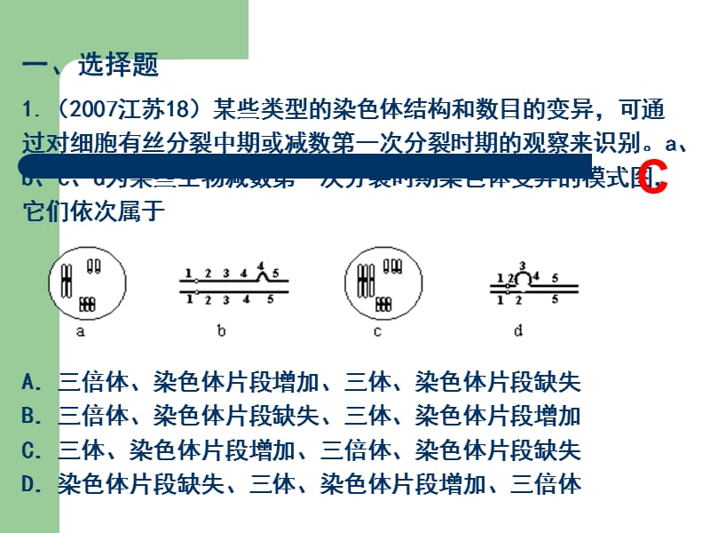 2007-2011生物高考题分类汇编(课件)：必修2专题18染色体变异12819_第2页