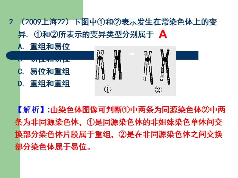 2007-2011生物高考题分类汇编(课件)：必修2专题18染色体变异12819_第4页