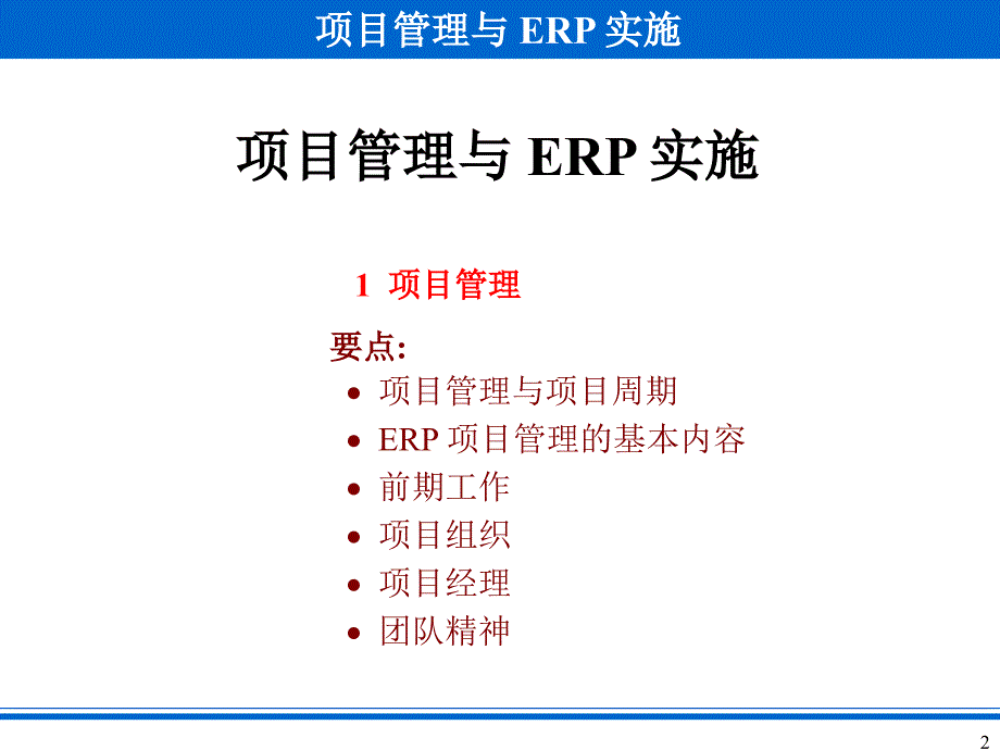 项目管理与erp实施精编版_第2页