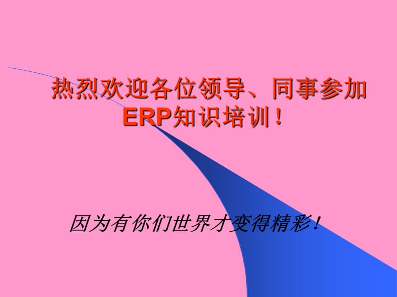 推动ERP实施精编版_第2页