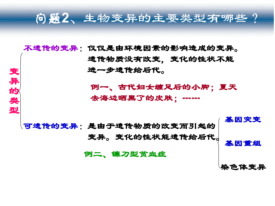 5.1基因突变与基因重组_第3页