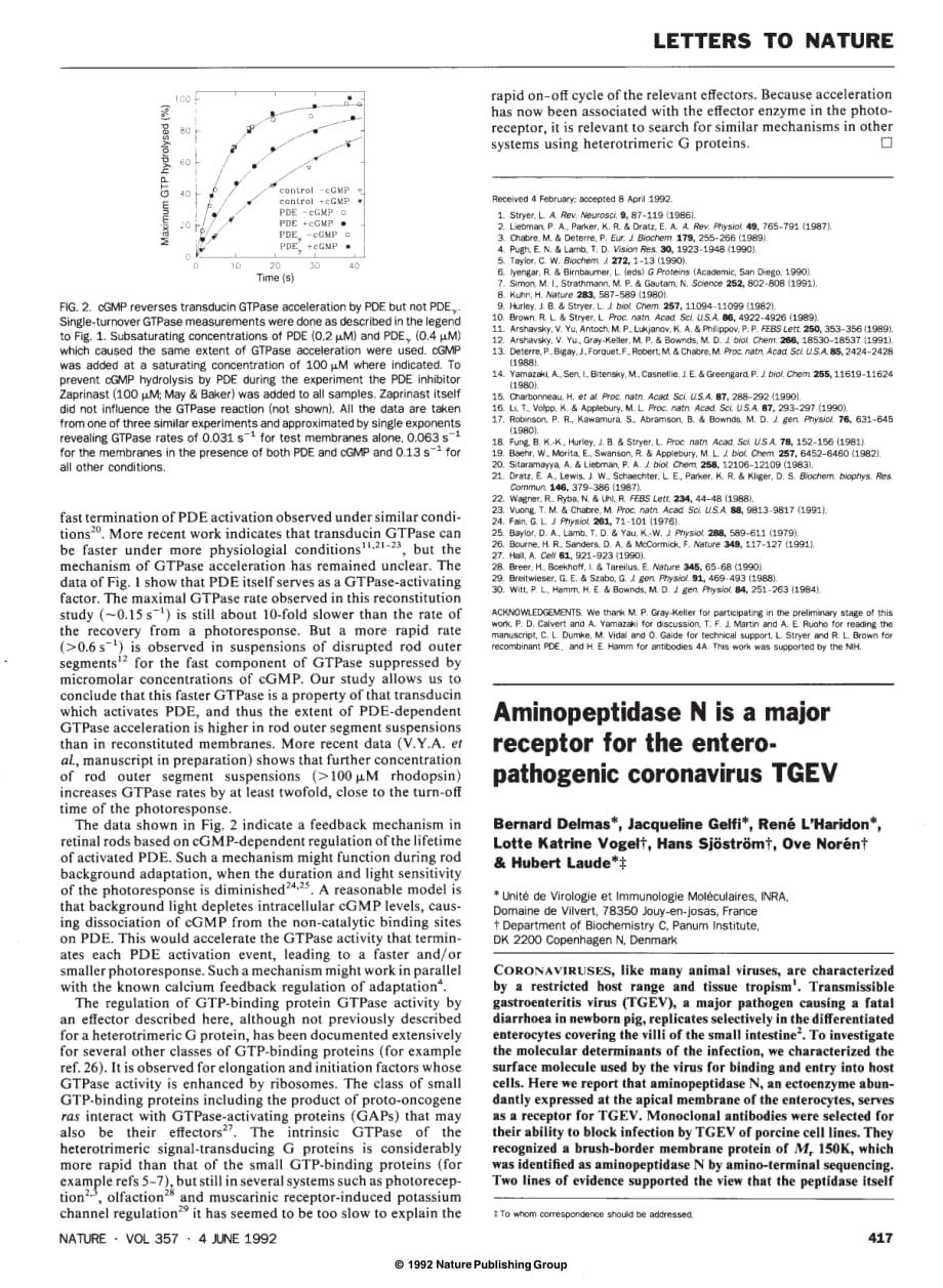 1992 Aminopeptidase N is a major receptor for the enteropathogenic coronavirus TGEV_第1页