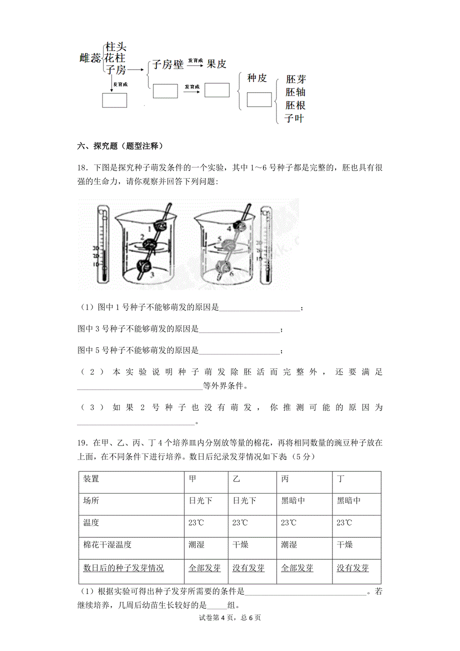 被子植物的一生课后练习(有附标准答案)_第4页