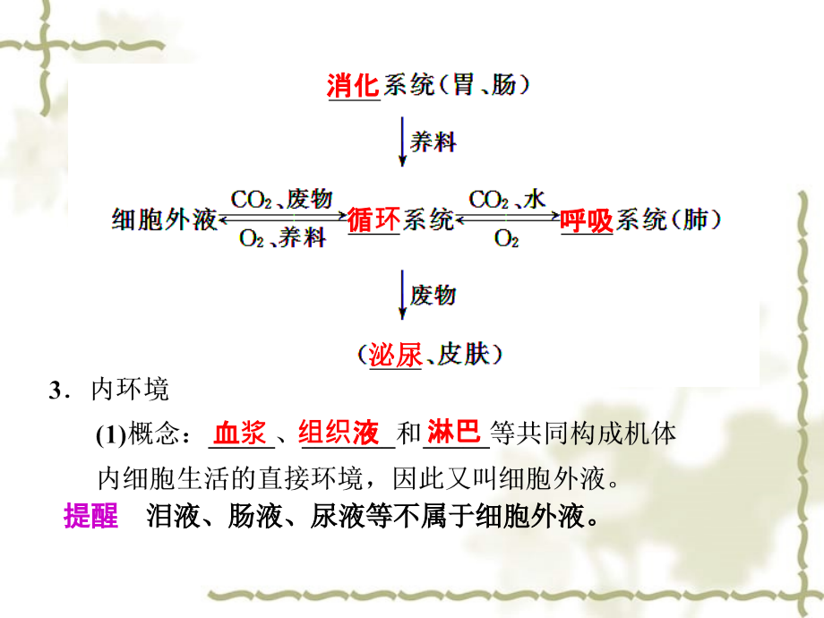 2012届高考生物一轮复习 第27讲内环境与稳态精品课件 浙科版_第2页