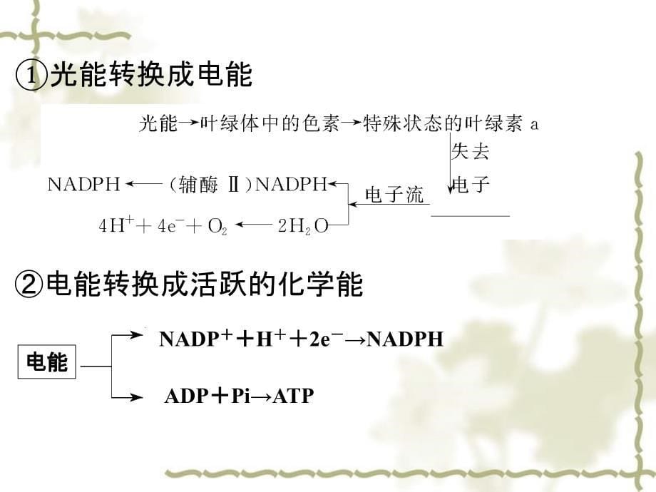 2017年高中生物 第三单元 细胞的新陈代谢 第二章 细胞能量的来源与转变 3.2.3.2 光合作用过程及影响因素课件 中图版必修1_第5页