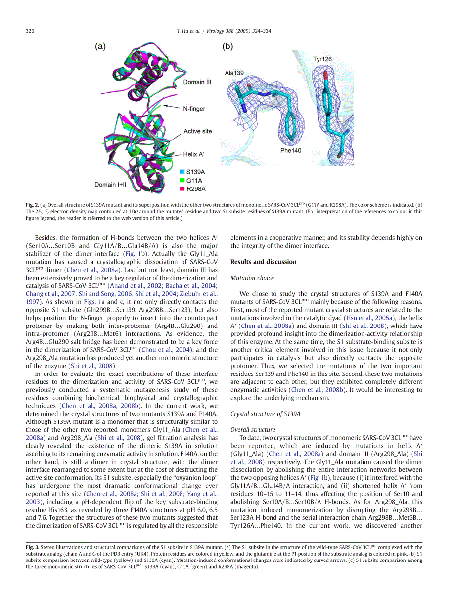 2009 Two adjacent mutations on the dimer interface of SARS coronavirus 3C-like protease cause different conformational c_第3页