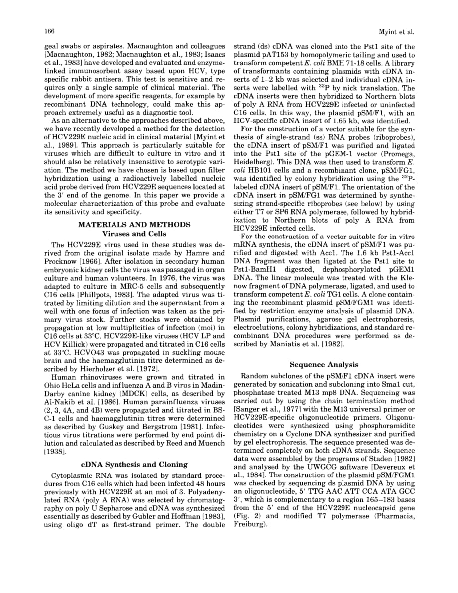 1990 Characterization of a nucleic acid probe for the diagnosis of human coronavirus 229E infections_第2页