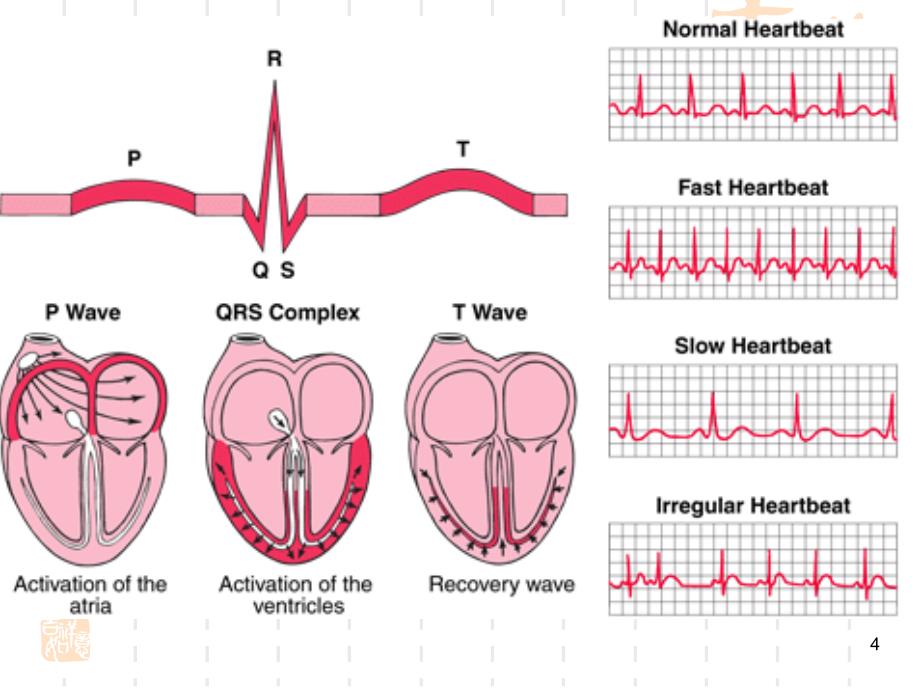 22[1].抗心律失常药--ym_第4页