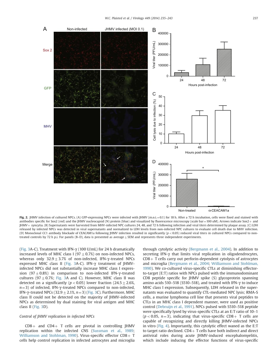 2014 T cell mediated suppression of neurotropic coronavirus replication in neural precursor cells_第3页