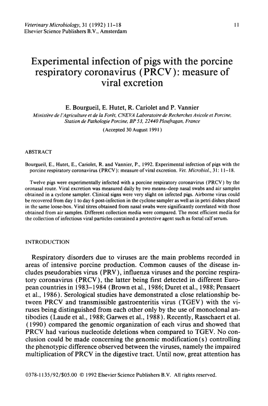 1992 Experimental infection of pigs with the porcine respiratory coronavirus (PRCV)_ measure of viral excretion_第1页