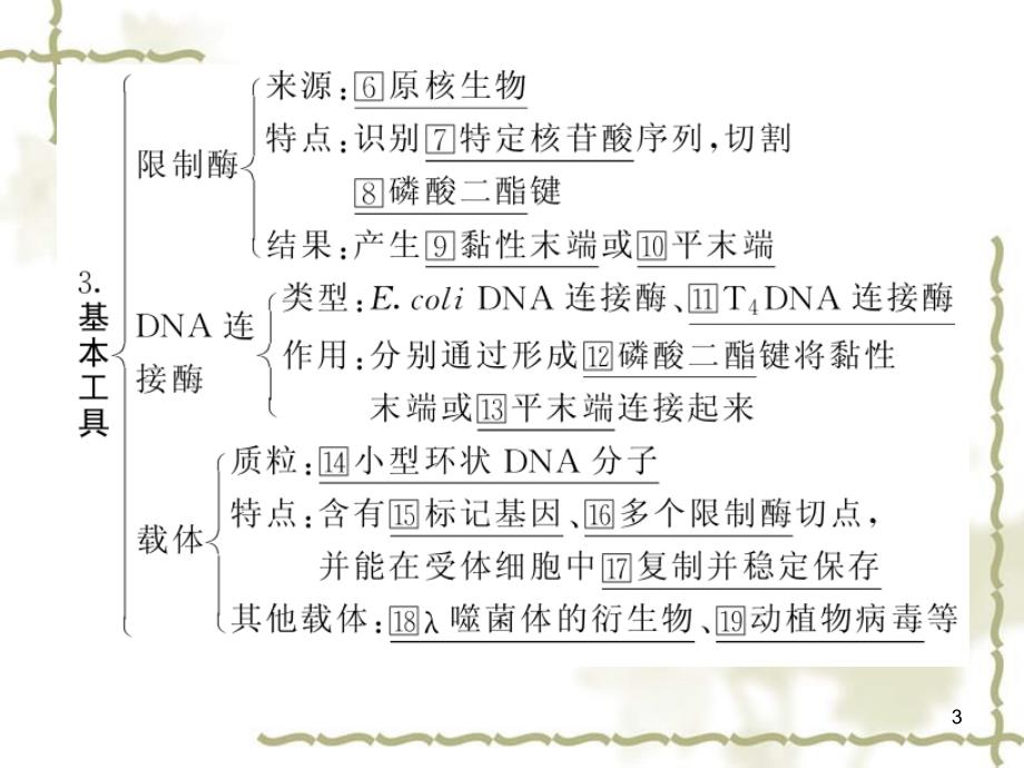【名师一号】2012年高考生物 专题一 基因工程复习与学科能力课件_第3页
