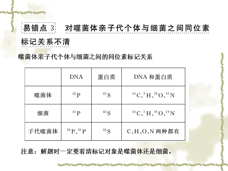 2013届高三生物专题复习 章末知识整合课件_第4页