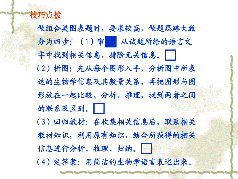 2011届高考生物总复习课件步步高系列 综合题解题技能2 有丝分裂图表、图像类解题_第3页