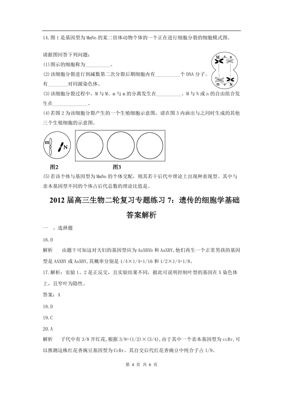 高三生物二轮作业专题练习7：遗传的细胞学基础_第4页