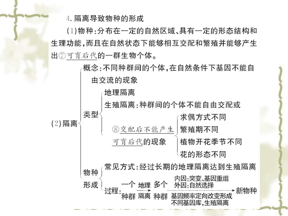 2012高三生物3年高考2年模拟 17-2现代生物进化理论的主要内容课件_第3页