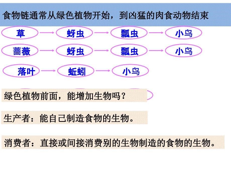 小学科学教科版五年级上册1-5《食物链和食物网》课件PPT_第5页