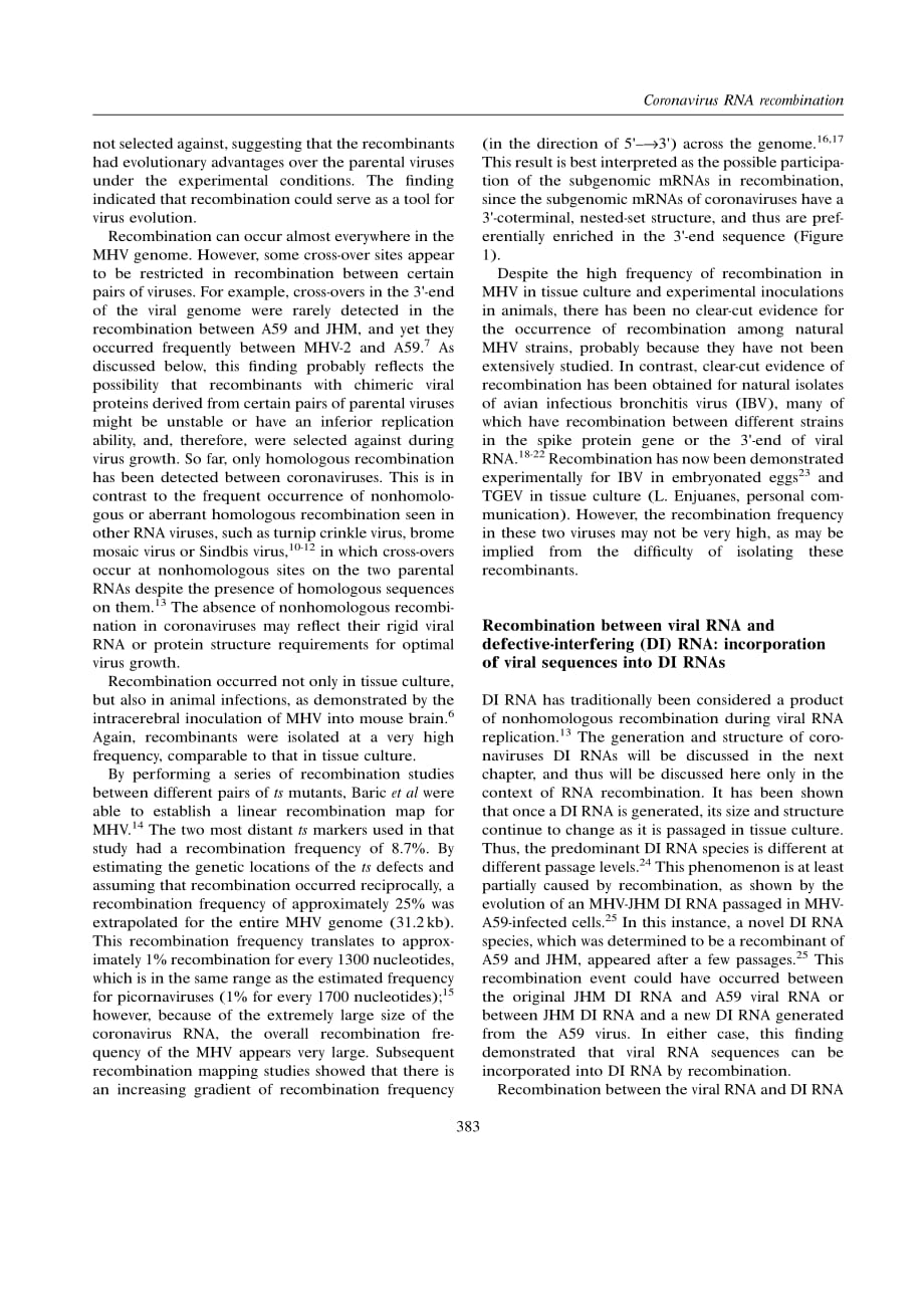 1996 Recombination in large RNA viruses_ Coronaviruses_第3页