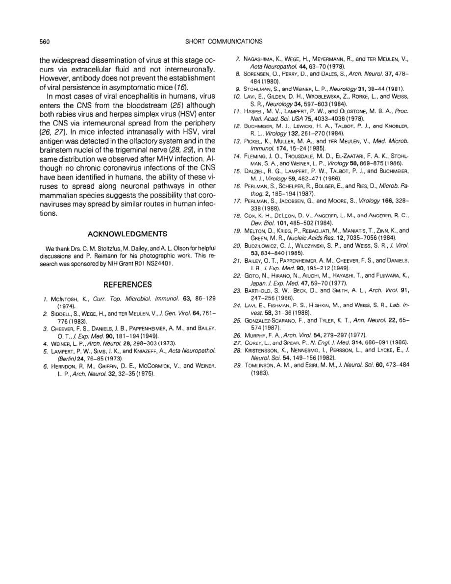 1989 Spread of a neurotropic murine coronavirus into the CNS via the trigeminal and olfactory nerves_第5页