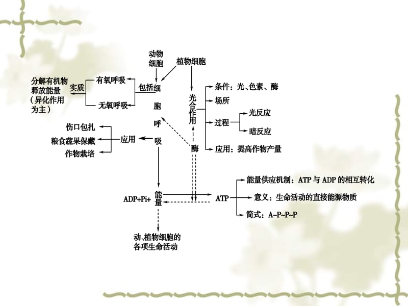 2011《龙门亮剑》高三生物一轮复习 第5章 细胞的能量供应和利用 网络构建 整合展示课件 新人教版必修1_第2页