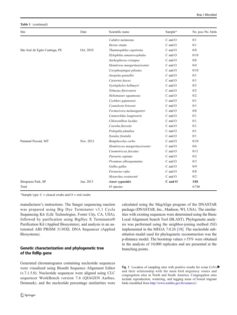 2019 Divergent coronaviruses detected in wild birds in Brazil, including a central park in S_o Paulo_第4页