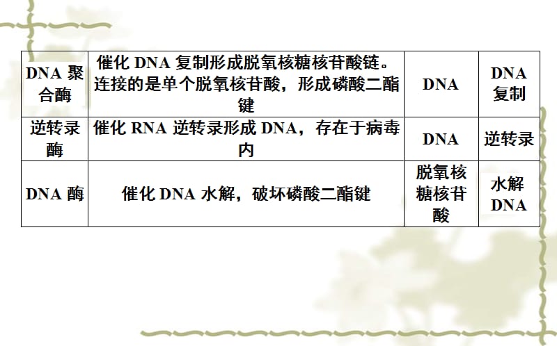 2015-2016高中生物 第4章《基因的表达》章末总结课件 新人教版必修2_第4页