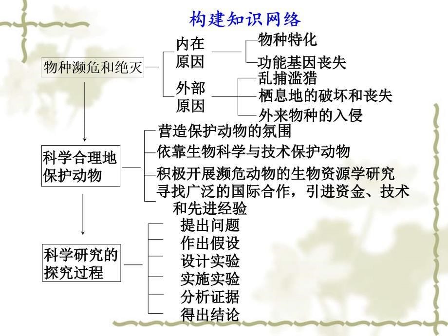 2012高三生物一轮复习 第八单元第29课时生物科学和我们精品课件 苏教版_第5页