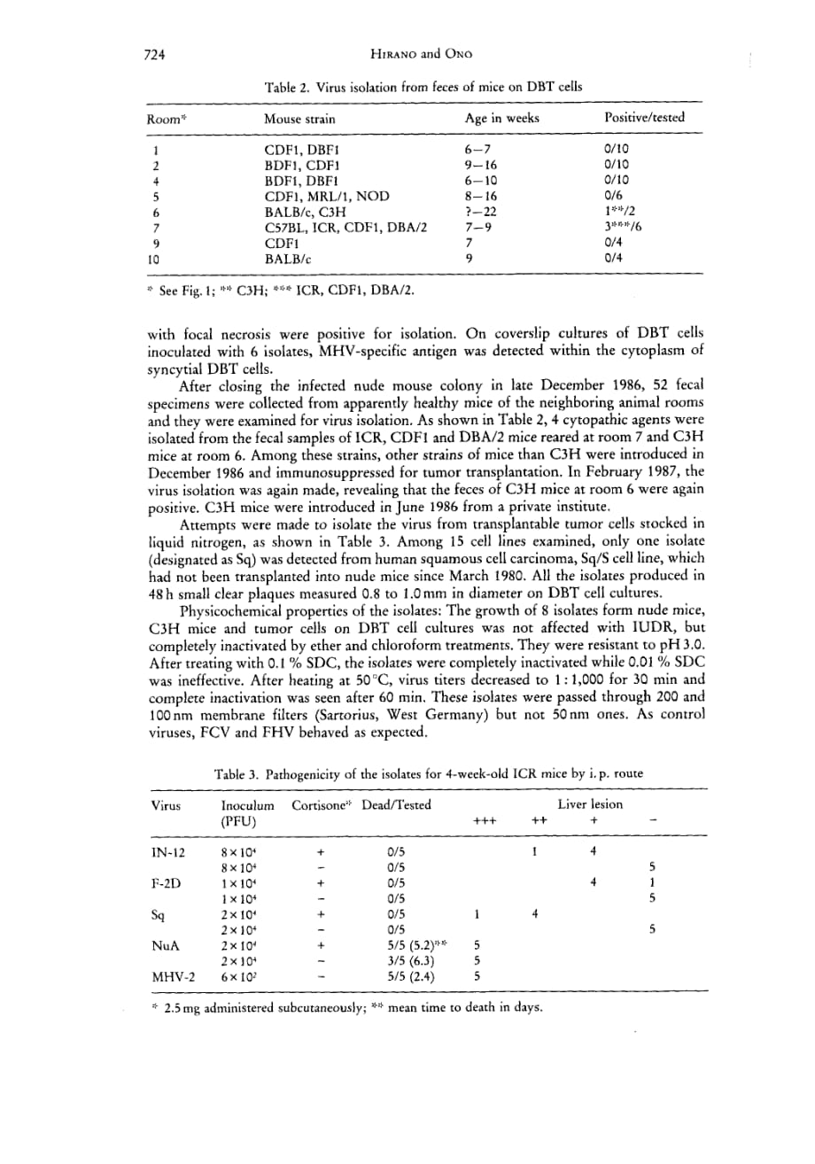 1990 Natural Infection of Nude Mice with Low-virulent Mouse Coronavirus_第4页