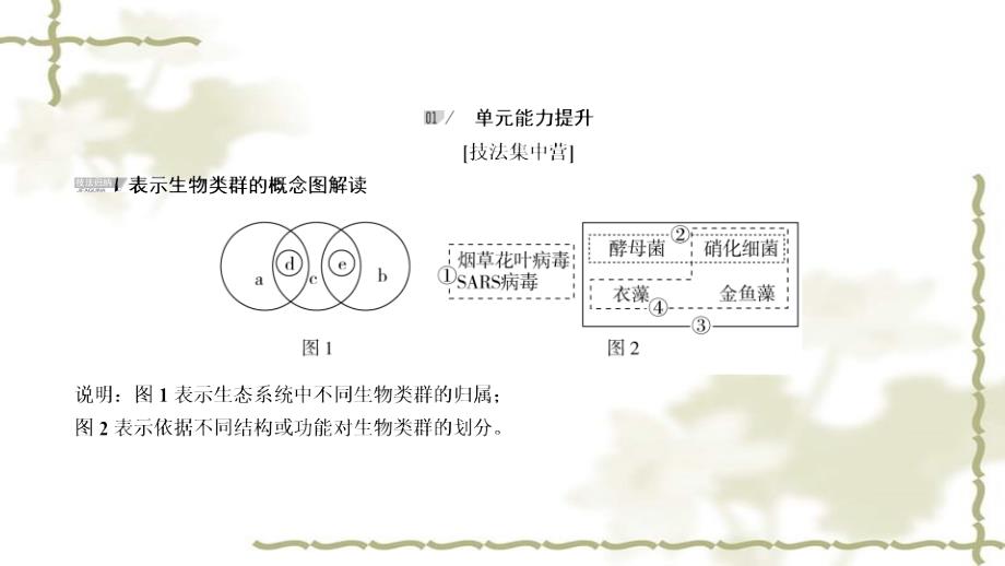 2017年高考生物一轮复习 第1单元 走近细胞和组成细胞的分子阶段性总结课课件 新人教版必修1_第4页