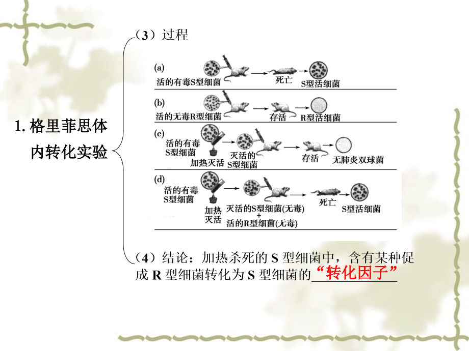 2012高三生物一轮复习 第七单元 第23课时探索遗传物质的过程精品课件 苏教版_第2页